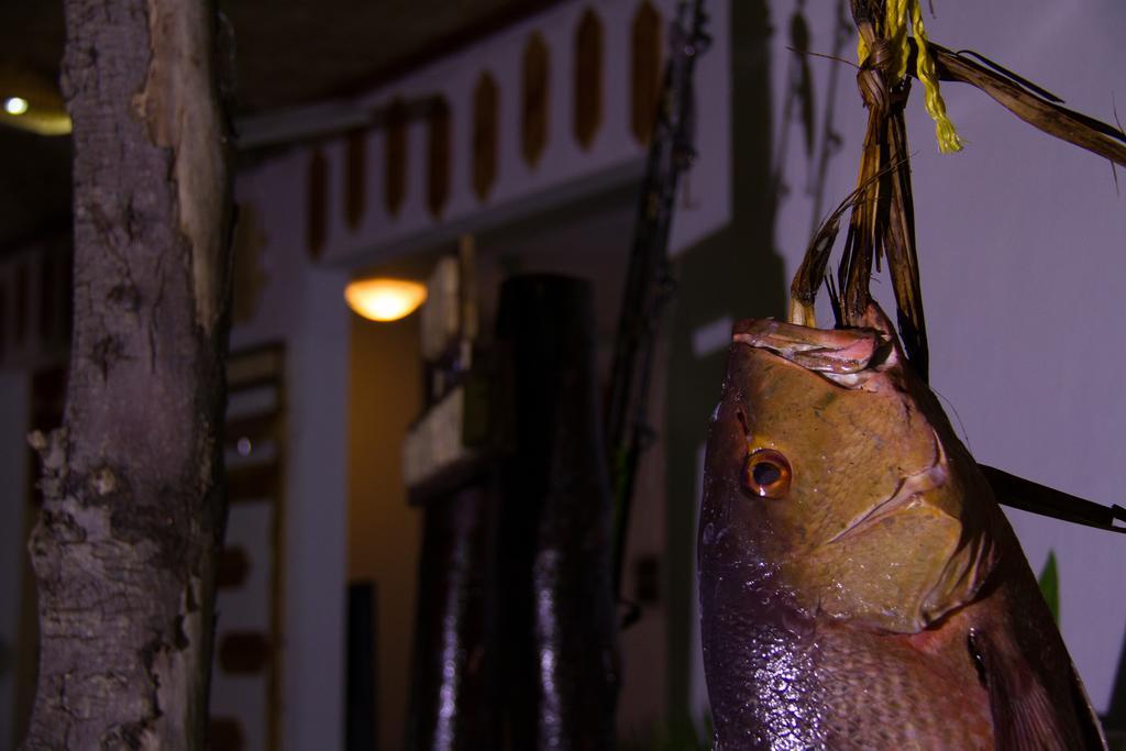 Alvi Star Inn Thulhaadhoo Εξωτερικό φωτογραφία