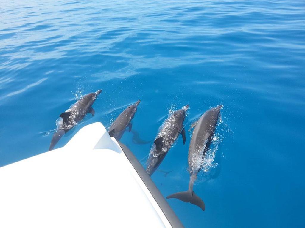 Alvi Star Inn Thulhaadhoo Εξωτερικό φωτογραφία