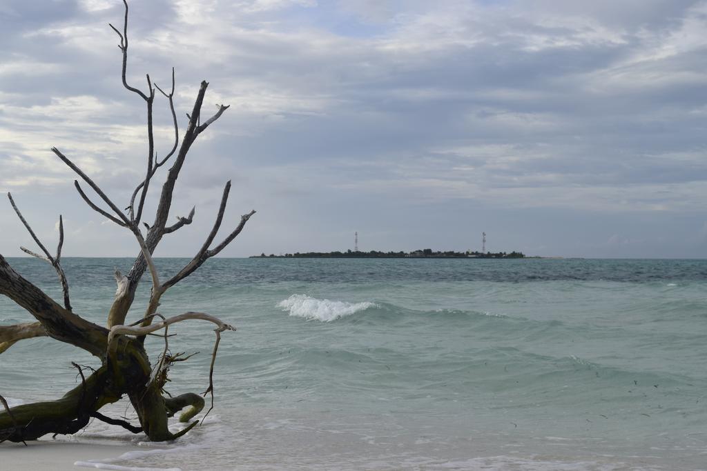 Alvi Star Inn Thulhaadhoo Εξωτερικό φωτογραφία